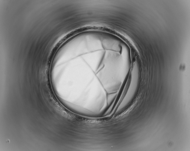 X0000090610783200708141350