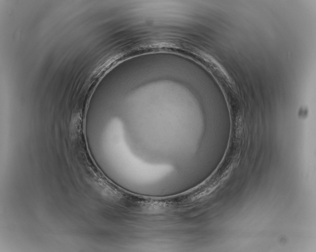 X0000090610785200708141350