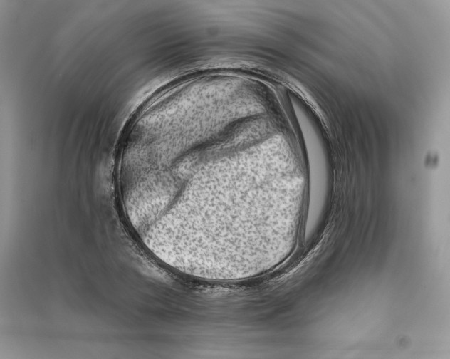 X0000090610786200708141350