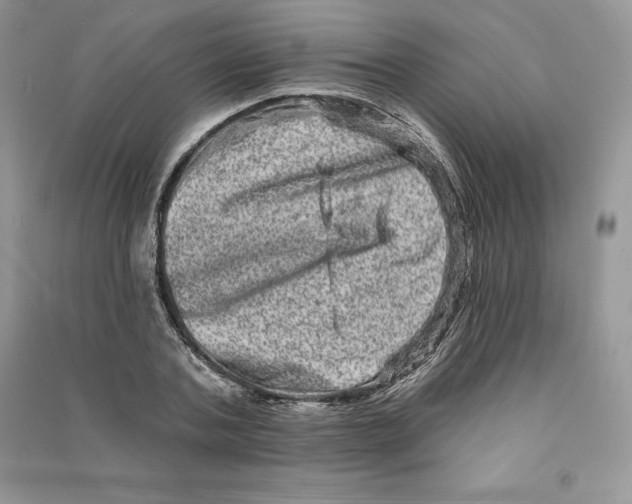 X0000090610787200708141350