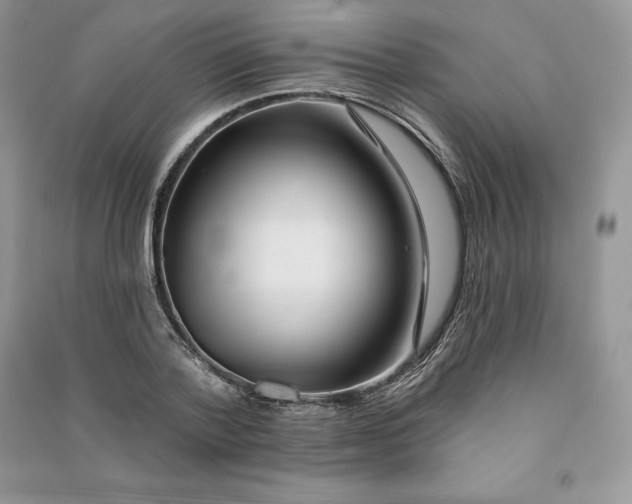 X0000090610788200708141350