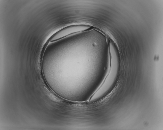 X0000090610789200708141350