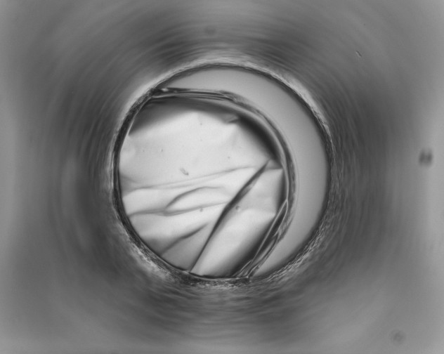 X0000090610791200708141350