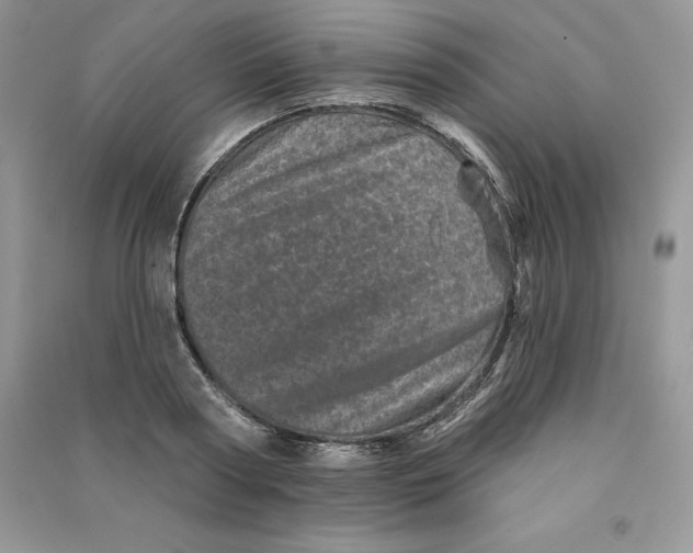 X0000090610794200708141350