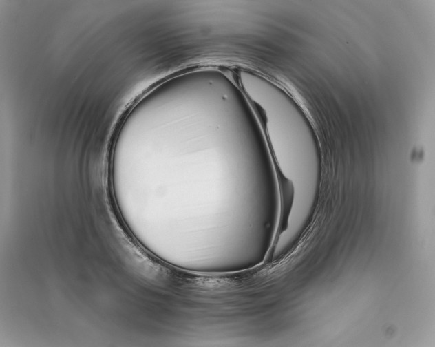 X0000090610795200708141350