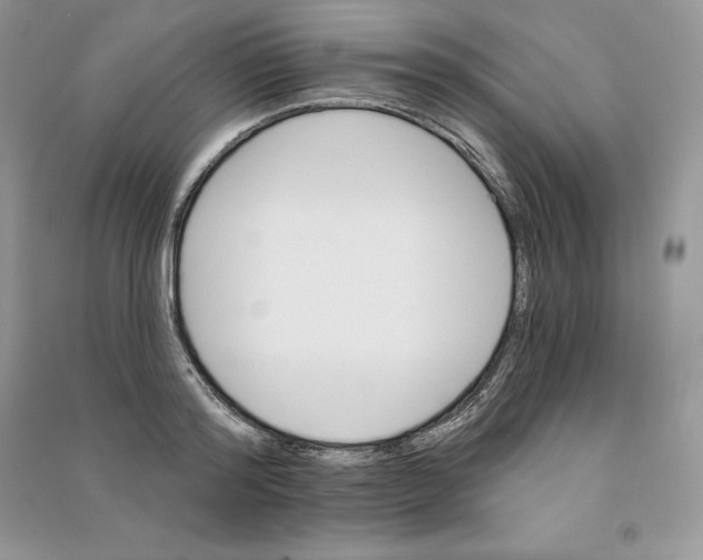 X0000090610796200708141350