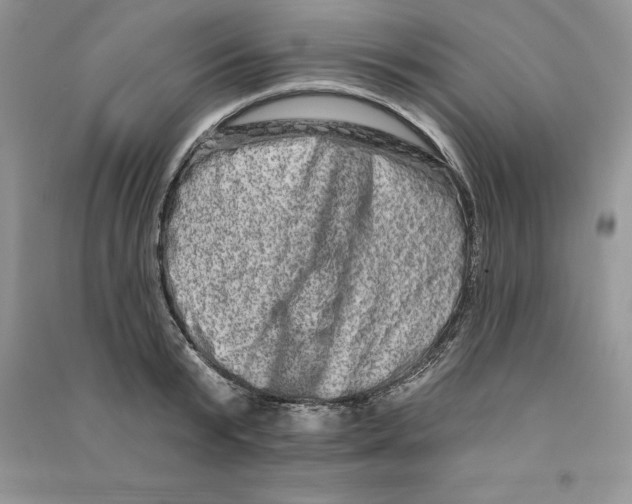 X0000090610799200708141350