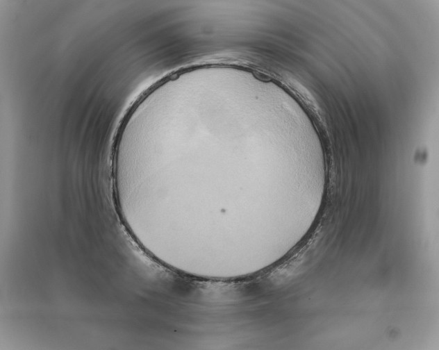 X0000090610800200708141350