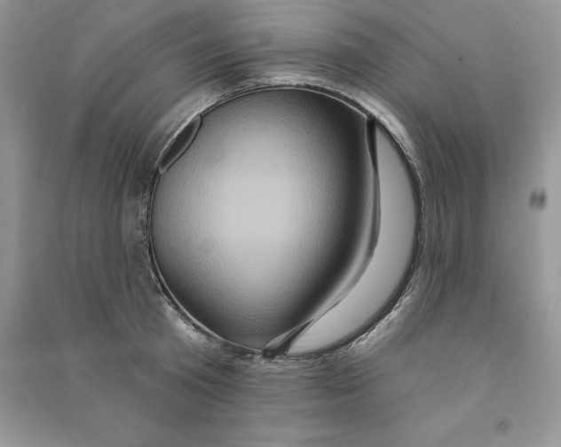 X0000090610801200708141350