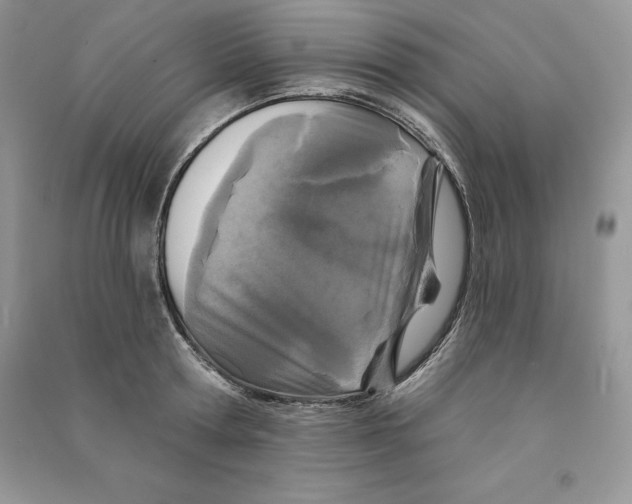 X0000090610802200708141350