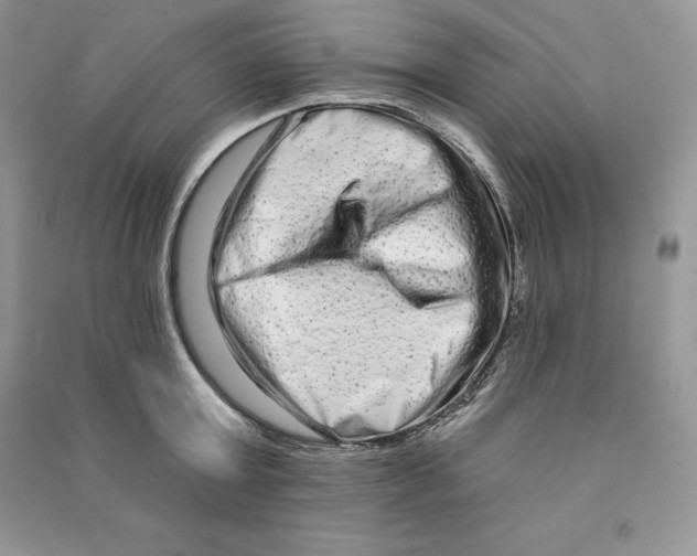 X0000090610803200708141350