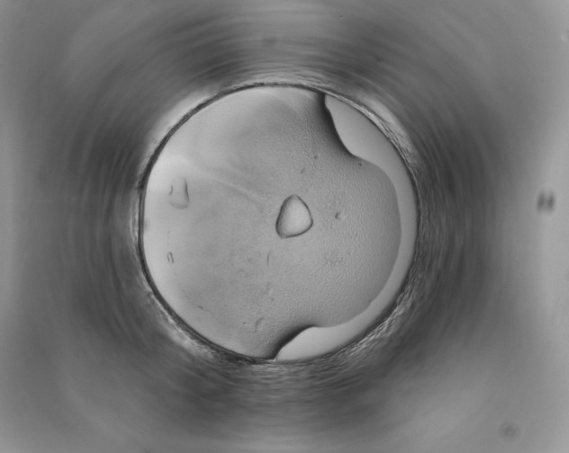 X0000090610804200708141350