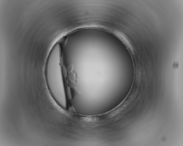 X0000090610805200708141350