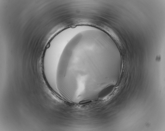 X0000090610806200708141350