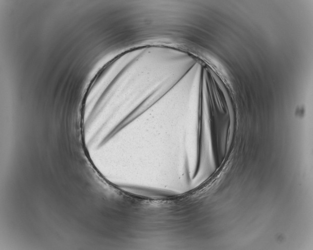 X0000090610808200708141350