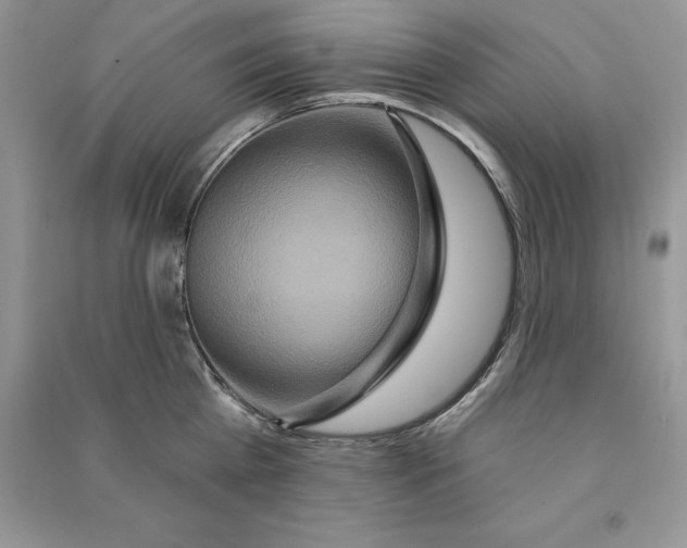 X0000090610809200708141350