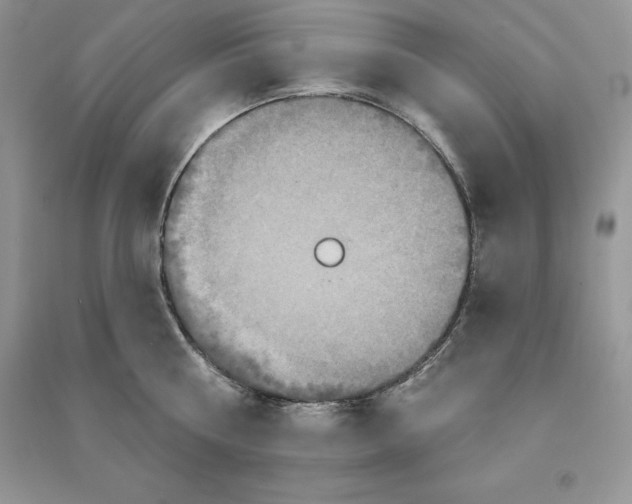 X0000090610810200708141350