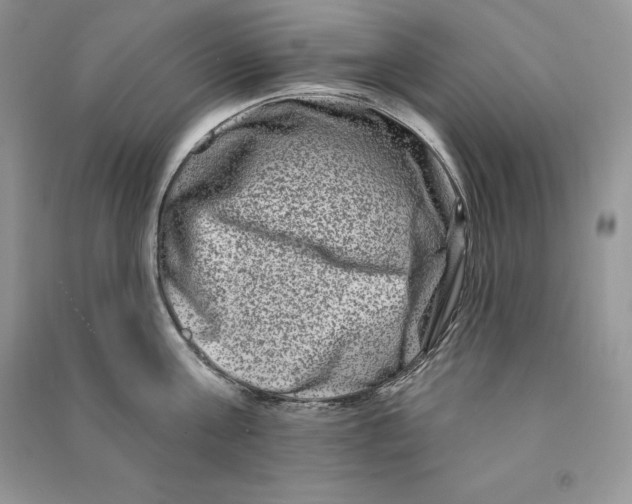 X0000090610811200708141350