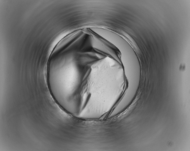 X0000090610812200708141350