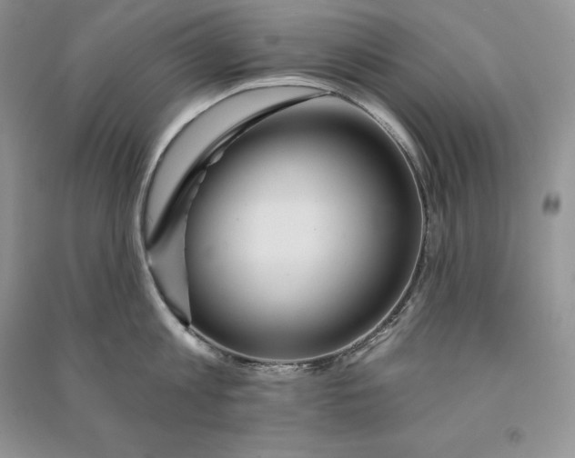 X0000090610813200708141350