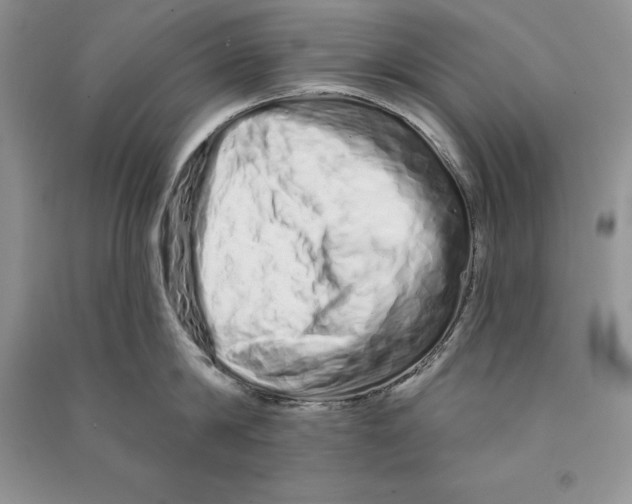 X0000090610814200708141350