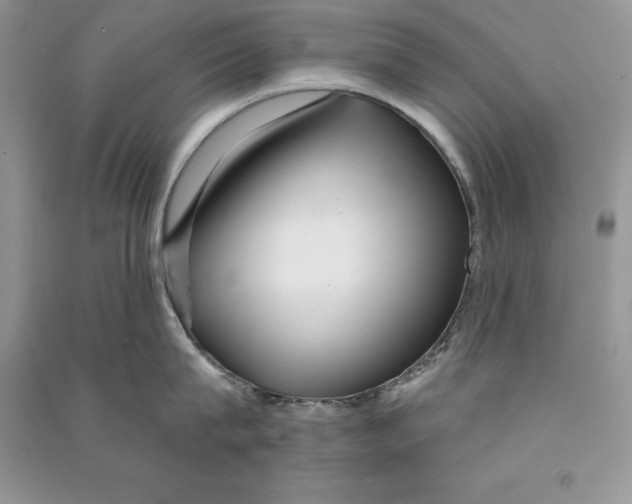 X0000090610815200708141350