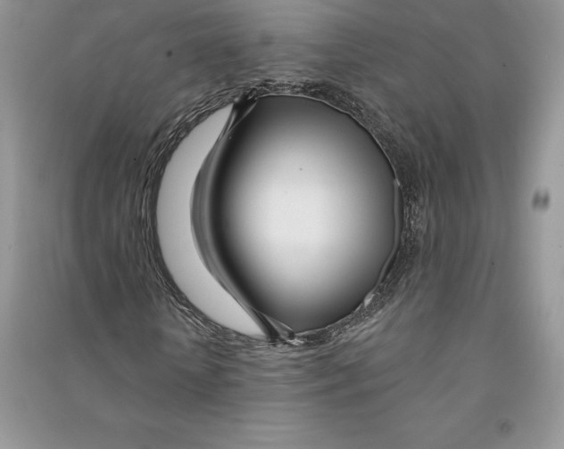 X0000090610818200708141349