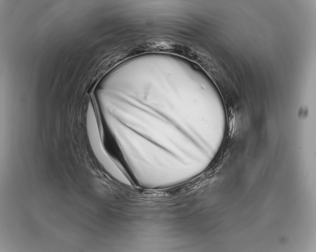 X0000090610819200708141349