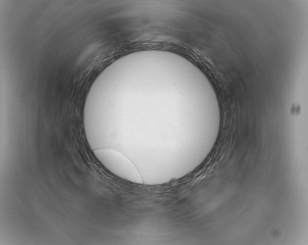 X0000090610820200708141349