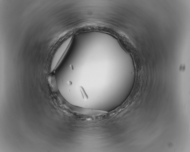 X0000090610822200708141349