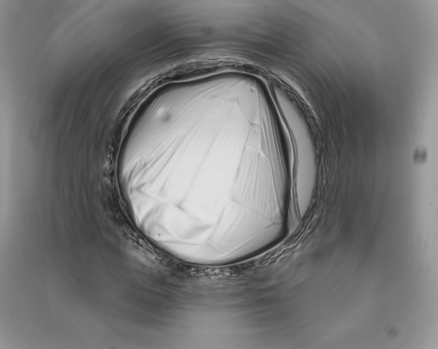 X0000090610823200708141349