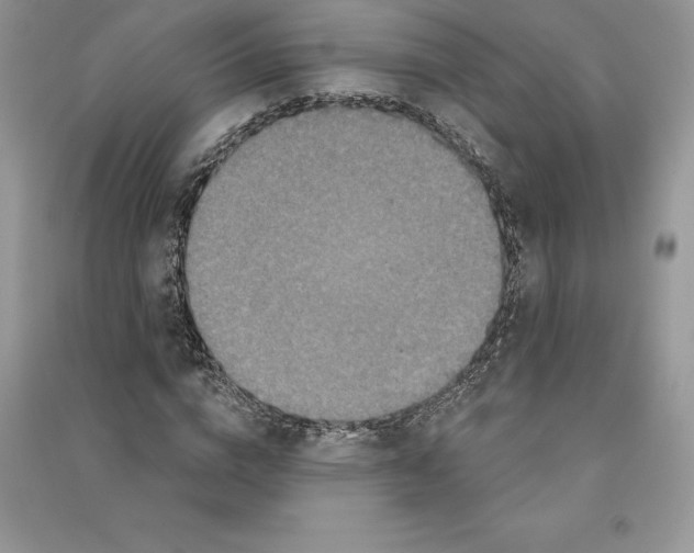 X0000090610824200708141349