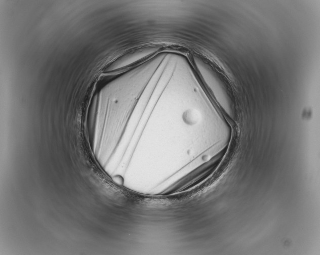 X0000090610825200708141349