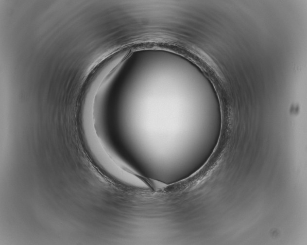 X0000090610826200708141349