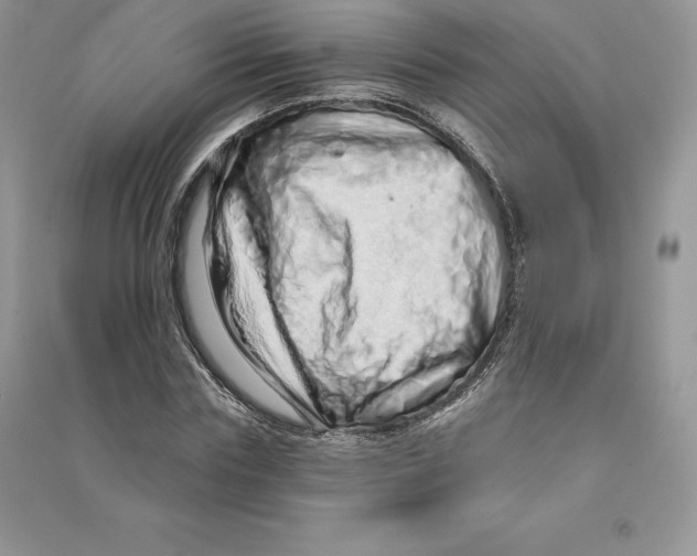 X0000090610827200708141349