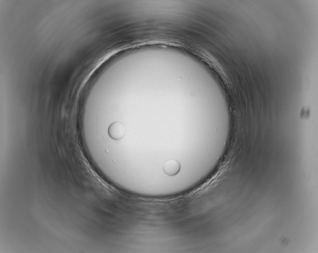 X0000090610828200708141349