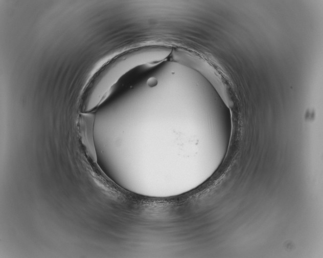 X0000090610830200708141349