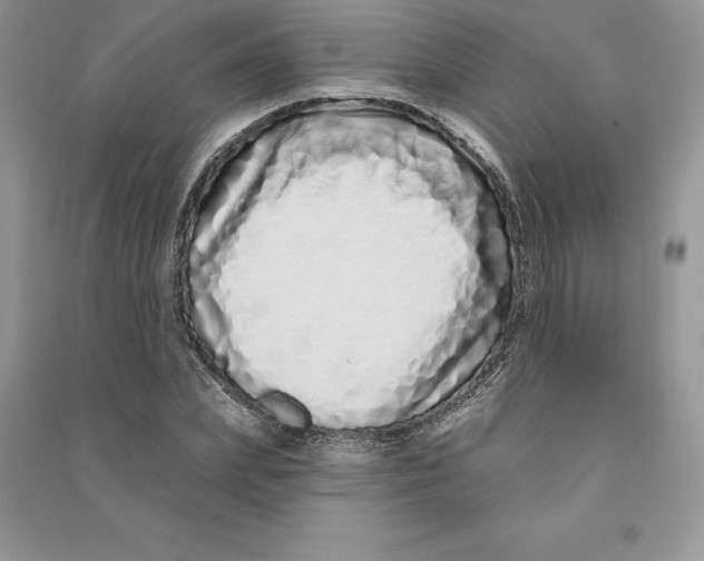 X0000090610831200708141349