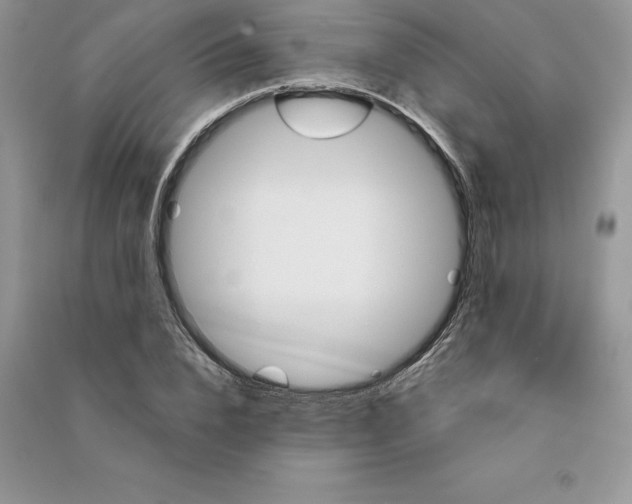 X0000090610832200708141349