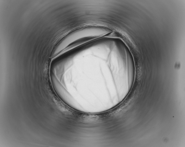 X0000090610833200708141349