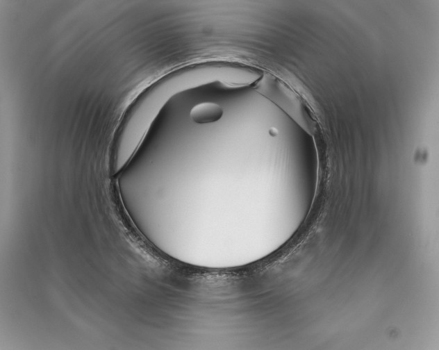 X0000090610834200708141349