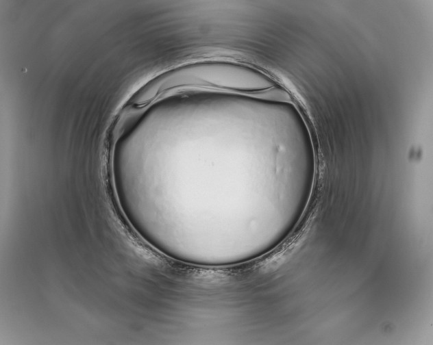 X0000090610835200708141349