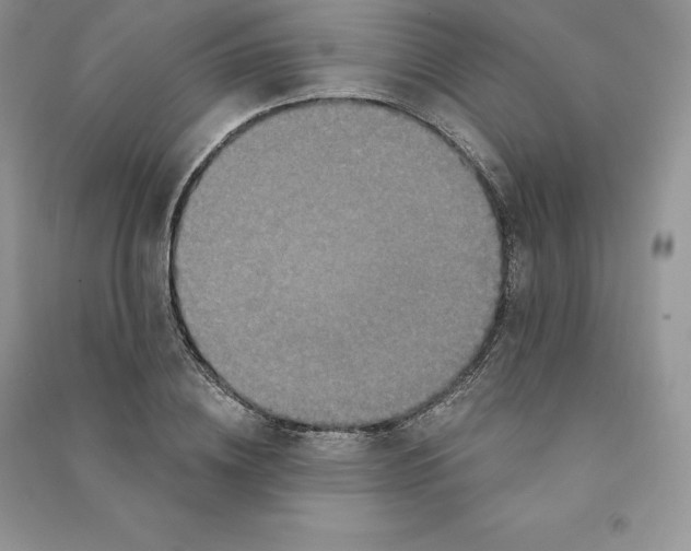 X0000090610836200708141349