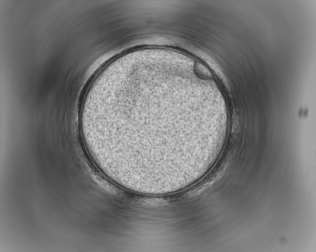 X0000090610837200708141349