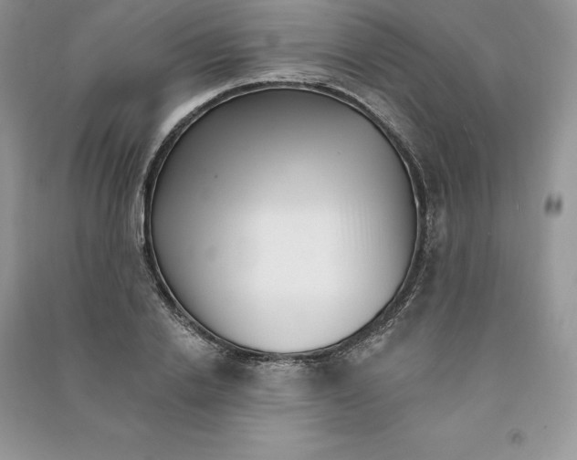 X0000090610838200708141349