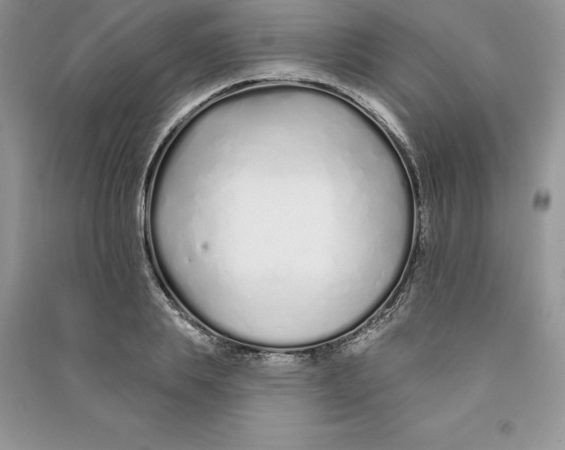 X0000090610839200708141349