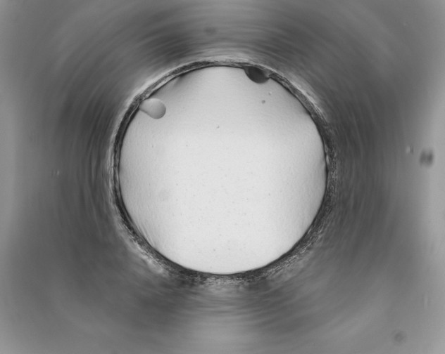 X0000090610840200708141349