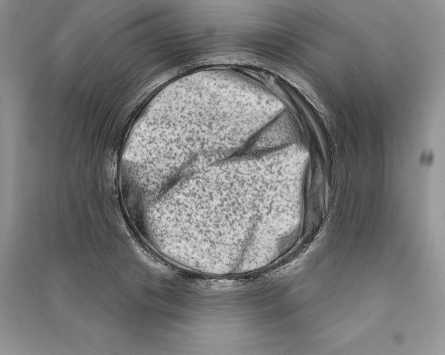 X0000090610841200708141349