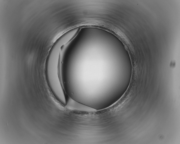 X0000090610842200708141349