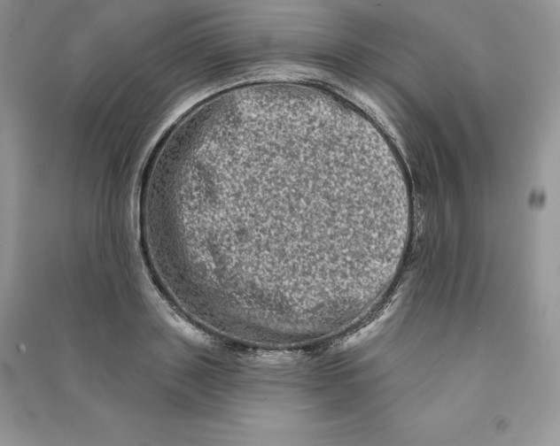 X0000090610843200708141349